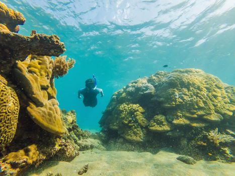 Happy man in snorkeling mask dive underwater with tropical fishes in coral reef sea pool. Travel lifestyle, water sport outdoor adventure, swimming lessons on summer beach holiday. Aerial view from the drone.