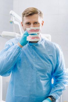 A model of a human jaw with teeth and a toothbrush in the dentist's hand.