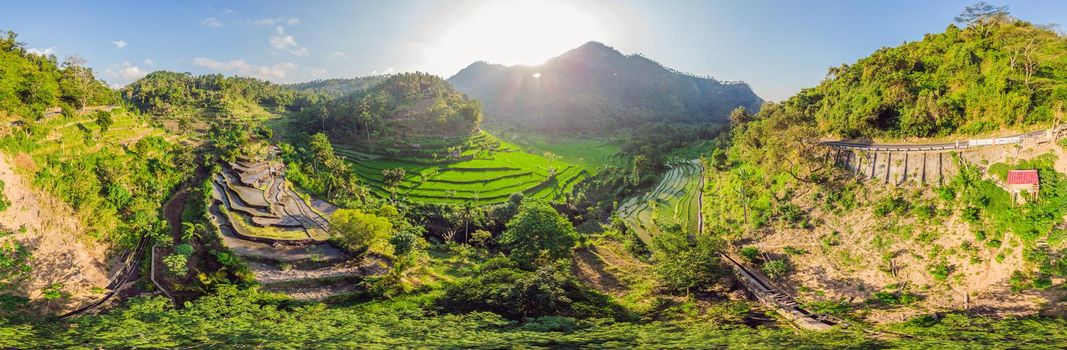 Green cascade rice field plantation at Bali, Indonesia.