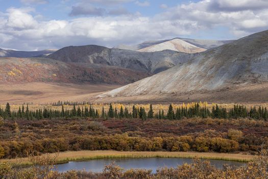 Yukon beauty in the fall boasts brilliant colors