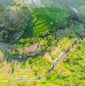 Green cascade rice field plantation at Bali, Indonesia.