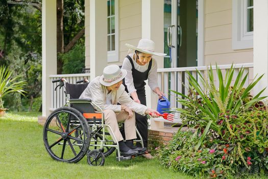 Elderly woman gardening in backyard with daughter