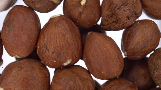 Peeled hazelnuts falling on glass on a bright white background. Close-up bottom view of hazelnuts. 4k