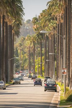 Streets of Beverly Hills in California USA
