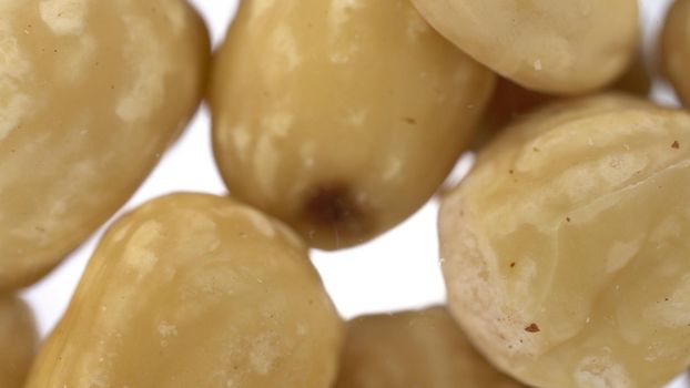 Peeled hazelnuts falling on glass on a bright white background. Close-up bottom view of hazelnuts. 4k