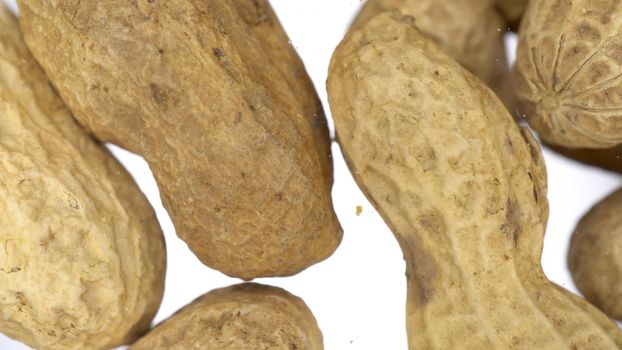 Peanuts in the skin falls on the glass on a bright white background. Peanut close up view from below. 4k