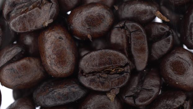 Coffee beans falls on the glass on a bright white background. Coffee bottom view macro. 4k