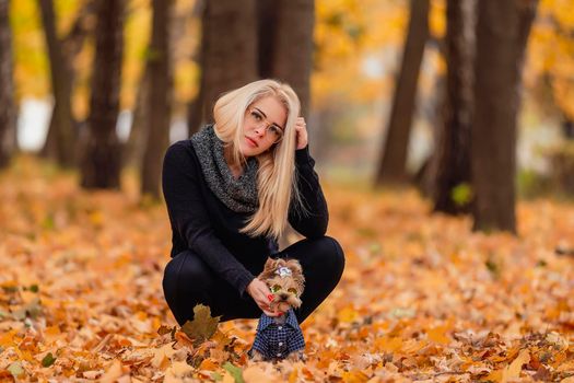 girl with a Yorkshire terrier dog in the autumn park