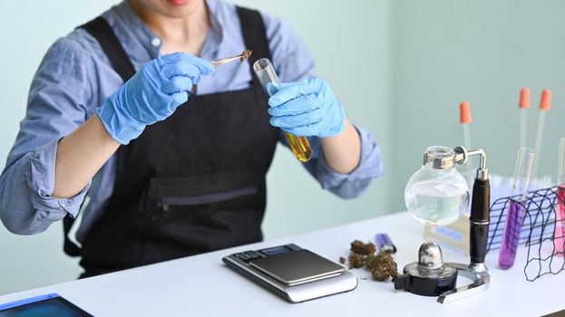 Female researcher conducting experiment cannabis plants for the extraction of medicinal oil in a laboratory.