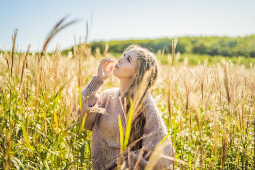 Young beautiful woman in autumn landscape with dry flowers, wheat spikes. Fashion autumn, winter. Sunny autumn, Cozy autumn sweater. fashion photo.