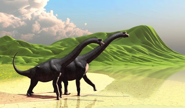 Rolling green hills end at a lakeshore as herbivorous sauropod Brachiosaurus dinosaurs come to the beach during the Jurassic Period.