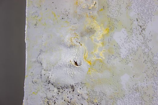 black mold on the wall. Fungus on the wall after the flooding of the house. selective focus