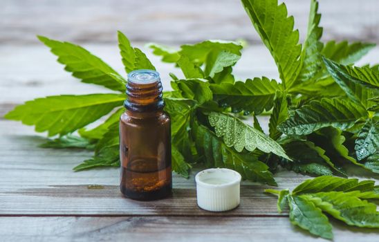 hemp oil. fresh cannabis leaves. Jars of cannabis oil. selective focus