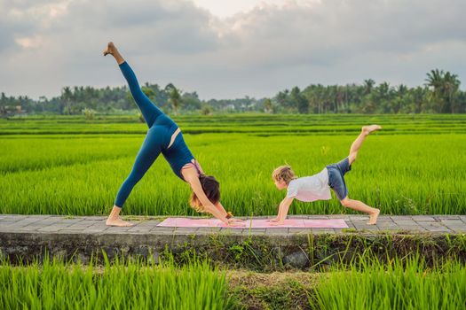 Boy and his yoga teacher doing yoga in a rice field.