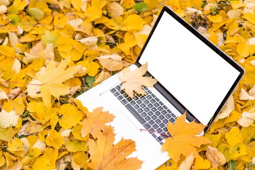 blank screen laptop computer on terrace with beautiful autumn colorful red and yellow maple leaves background, copy space for display presentation, marketing, advertisement concept.