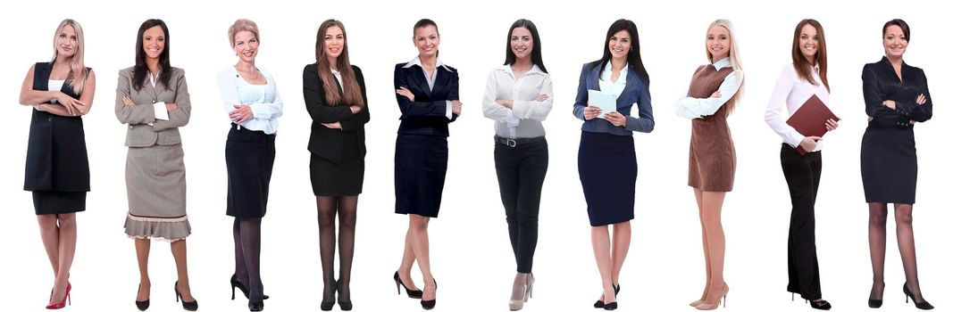 panoramic collage of a group of successful young business women. isolated on white background