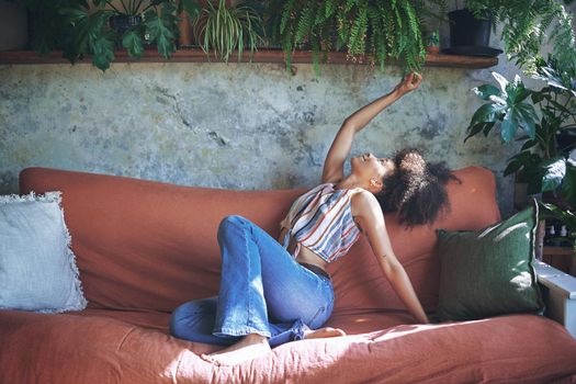 Shot of a beautiful African young woman looking at her plants on her sofa at home - Stock Photo