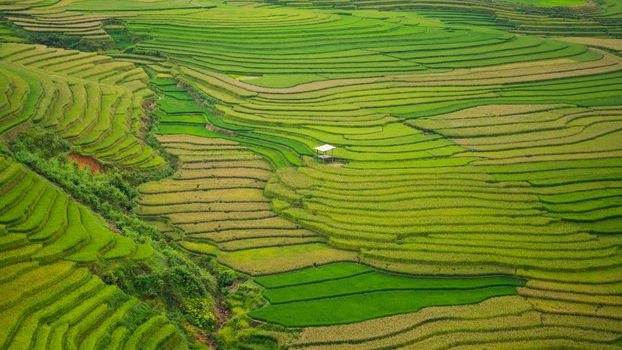 Terraced rice field landscape near Sapa in Vietnam. Mu Cang Chai Rice Terrace Fields stretching across the mountainside, layer by layer reaching up as endless, with about 2,200 hectares of rice terraces, of which 500 hectares of terraces of 3 communes such as La Pan Tan, Che Cu Nha and Ze Xu Phinh.