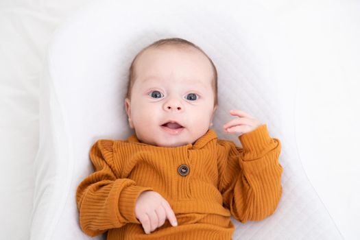 The baby is lying in a cocoon of copy space . The baby is 0-3 months old. A contented infant. An article about choosing a cocoon for newborns. An article about the benefits of cocoon. An article about colic . White background. High quality photo