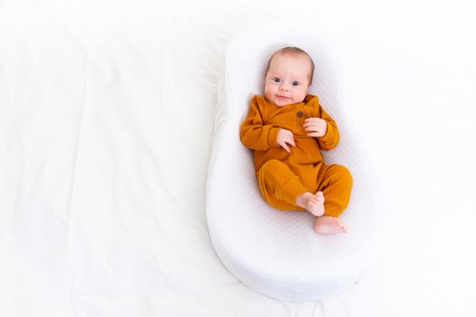 The baby is lying in a cocoon of copy space . The baby is 0-3 months old. A contented infant. An article about choosing a cocoon for newborns. An article about the benefits of cocoon. An article about colic . White background. High quality photo