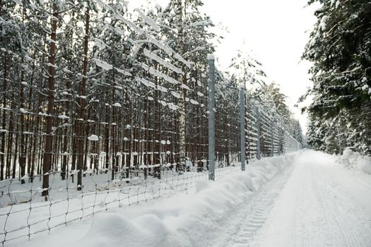 Tall metal fence with smaller holes in the winter forest. Fencing a private area from intruders. Fencing the site with a fence along the forest road.
