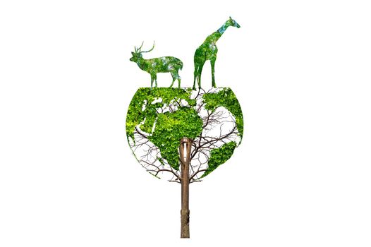 wildlife silhouette on earth wildlife conservation concept