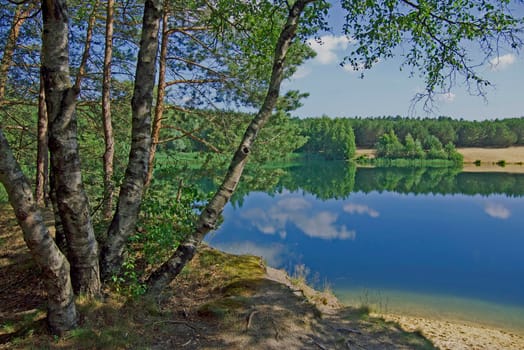View on a beautiful lake. In the foreground a birch tree. Blue sky and water. Reflections of the clouds in the water. Forest in the background. Idyllic summer day.