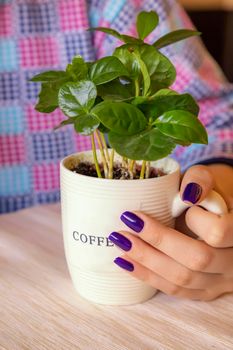 the hand of a girl holding a cup full of young plant coffee