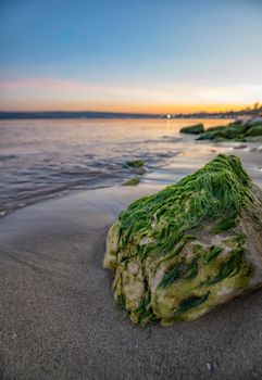 Beautiful seascape with a close view of stone with moss. Blurred background. Vertical view