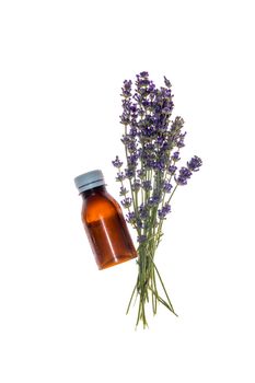 bouquet purple lavender and a plastic bottle, isolated on white background