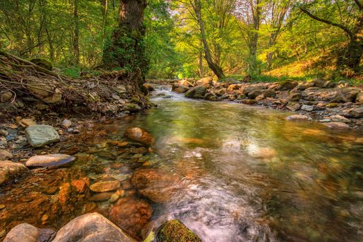 Beautiful autumn landscape with mountain river and colorful trees