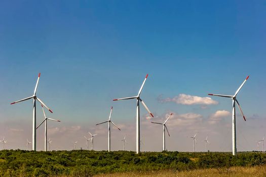 Wind turbine farm under the blue day sky