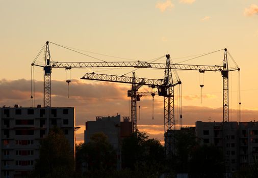 cranes on high rise construction site at sunset