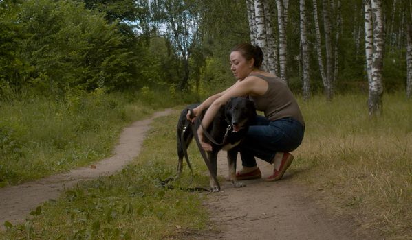 Woman volunteer caress a dog. Volunteering and helping concept.