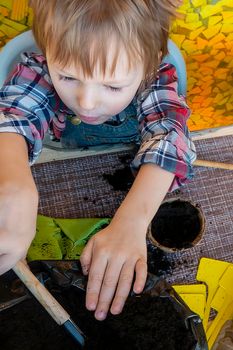 family hobby and time together: home garden care. Planting seed in peat pots and peat tablets. baby plays with seeds, tools and soil are ready for planting. Growing seedlings for gardening.