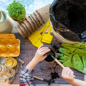 family hobby and time together: home garden care. Planting seed in peat pots and peat tablets. baby plays with seeds, tools and soil are ready for planting. Growing seedlings for gardening.