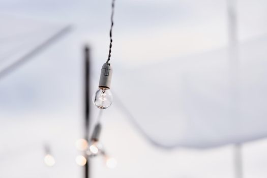 Light bulb decor in an outdoor party. High-quality photo. Wedding decor. Garland of paws.