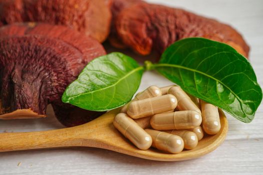 Lingzhi or Reishi mushroom with capsules, organic natural healthy food.