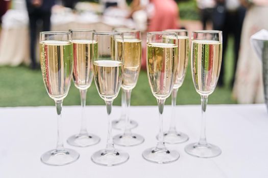 Glasses of champagne at the event. Champagne in glasses on a holiday close up. High-quality photo