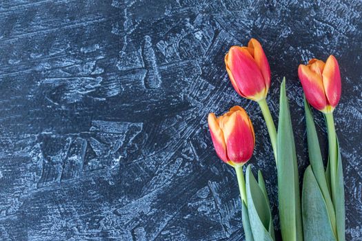 floral background. three red tulips on a black textured table with space for text. summer background. flat lay. copy space