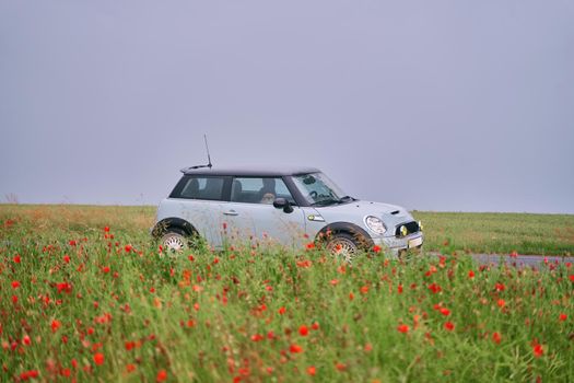 The car is in the poppy field. Meadow with beautiful bright red poppy flowers in spring. High-quality photo