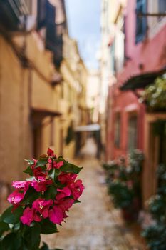 Corfu, Greece - 10.07.2021: View of the narrow streets of the historic Old Town of Corfu. High quality photo