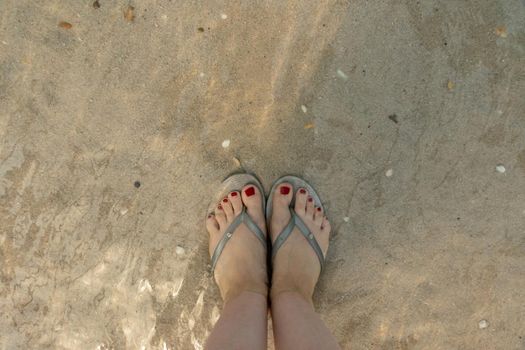 top view on beautiful female feet with red pedicure in slates in the water on the sea sand. the concept of relaxation by the sea on a bright, hot and sunny day on the beach. soft focus