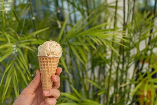 young hand holds an ice cream cone on a background of green palm trees. the concept of relaxation by the sea on a bright, hot and sunny day on the beach. soft focus