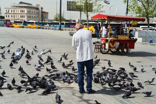 Elderly man feeding pigeons on the street in Istanbul. High quality photo