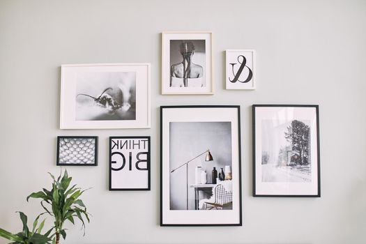 different size framed photos hanging on the gray wall. Stylish framed photos on the wall. Modern interior