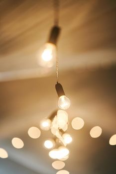 Light bulb decor in an outdoor party. High-quality photo. Wedding decor. Garland of paws.