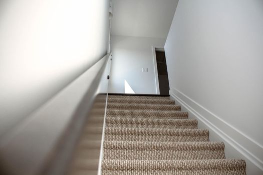 Staircase in the modern house with brown carpet, walk through ground floor