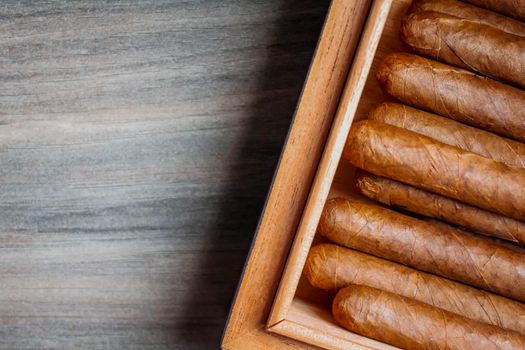 Cigars in humidor on the wooden background.