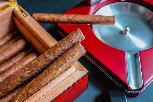 Close view of a cigar on an ashtray with a cutter. Side view